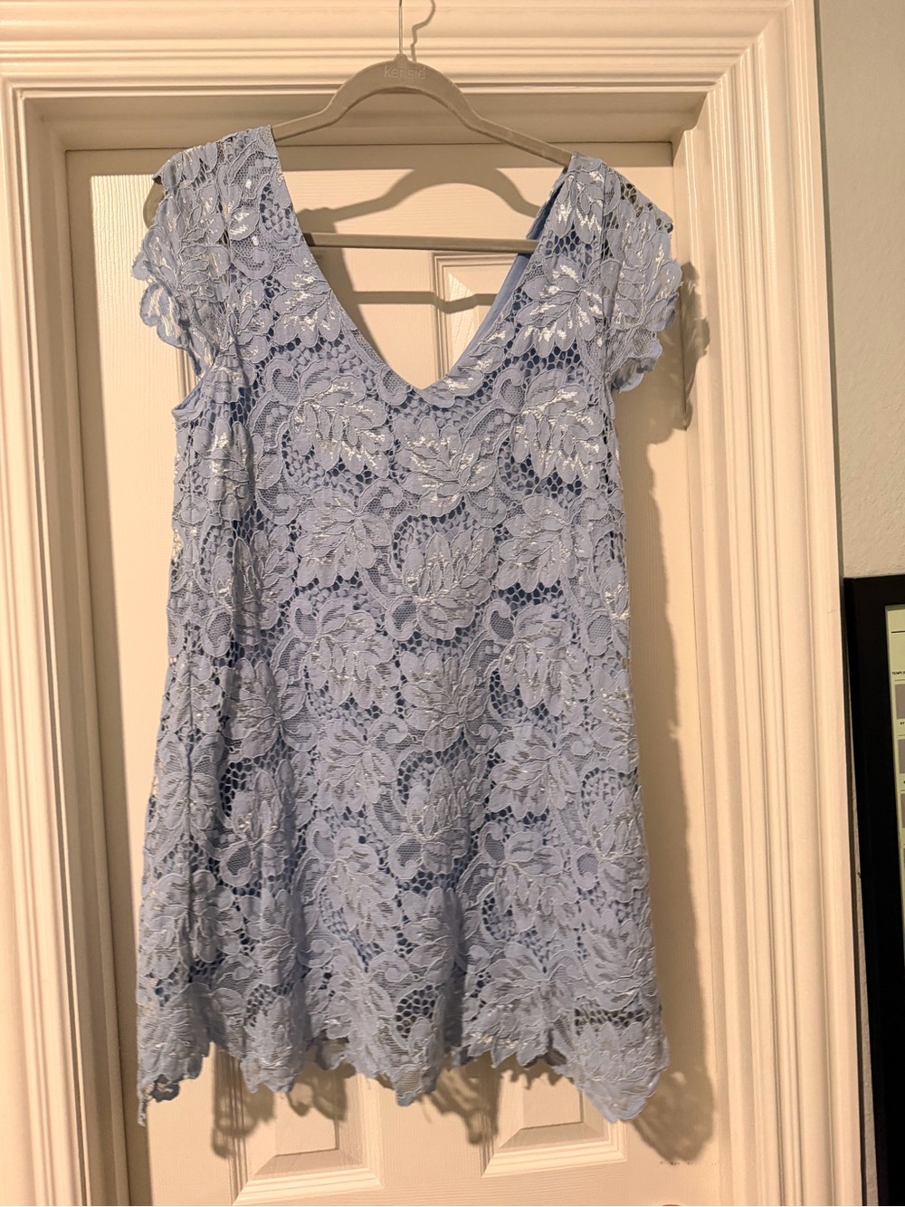 BB Dakota Light Blue Lace Mini Dress